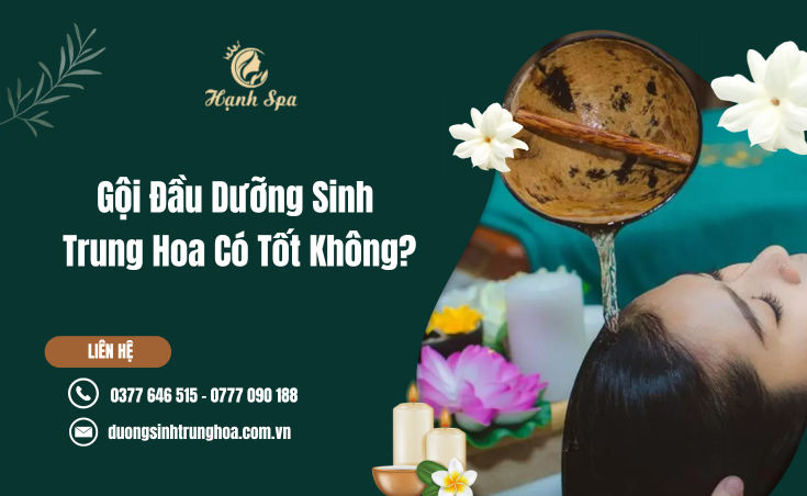 Gội Đầu Dưỡng Sinh Trung Hoa Có Tốt Không? Giải Đáp Từ Góc Nhìn Chuyên Môn